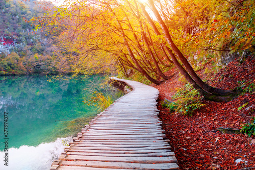 Fotomural Famous Plitvice lakes with beautiful autumn colors and magnificent views of the