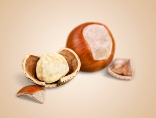 Canvas Print - Hazelnut.