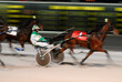 Number one harness racer breaks away at finish line to win