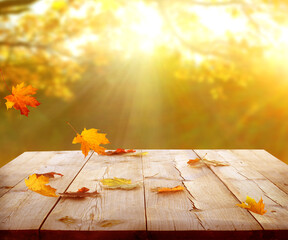 Fototapete - Sunlight in autumn forest. Beautiful  landscape with yellow trees and sun. Colorful  foliage on wooden table. Falling  leaves natural background.