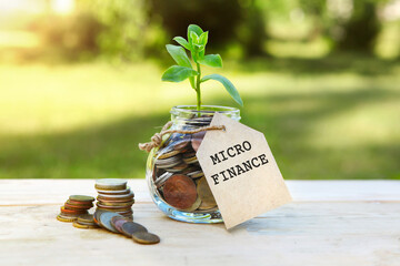 Micro finance. Glass jar with coins and a plant in it, with a label on the jar and a few coins on a wooden table, natural background. Finance and investment concept. 