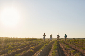 Wide angle view at outdoor vegetable plantation lit by sunset light with with row of workers walking towards camera, copy space