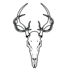 Wall Mural - black and white illustration with deer skull object