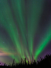 northern lights, fairbanks, alaska