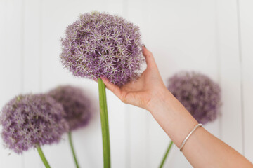 Poster - Closeup shot of a woman touching purple flowers