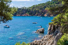 Views Of The Coast In "Punta Des Forcats" With Boats And People In The Water In Calella De Palafrugell.