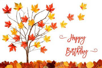 Wall Mural - Branches Building Tree With Bright Colorful Leaf Decoration. Red And Yellow Leaves Flying Away Due To Wind. English Text Happy Birthday. White Background