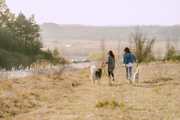 Wall Mural - Women in a spring forest. Girls with cute dogs. Stylish friends walks.