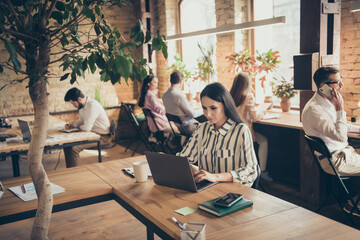 Wall Mural - Photo of amazing pretty business lady browsing notebook sitting spacious big office partnership colleagues working with new startup project successful team indoors