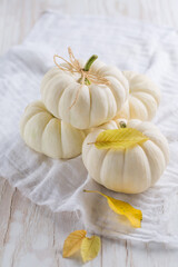 Wall Mural - Thanksgiving white pumkins with autumn leaves