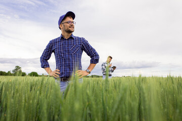 Wall Mural - Portrait of farmer standing in green wheat field with his colleague in background.