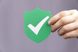 shield privacy secure pretection concept