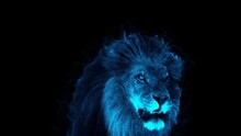 Ghost Lion Roars 