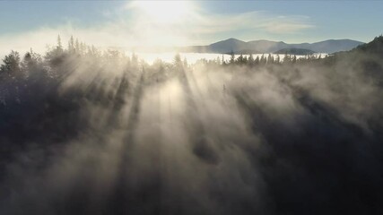 Fototapete - Magnificent rays of the rising sun make their way through the clouds and tree branches. Flying through the clouds above mountain tops. Warm sunrise in the mountains. Aerial shot