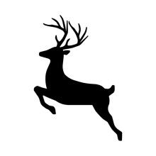 Vector Illustration Of Deer Isolated On White Background.