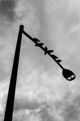 birds on a light post in manhattan new york