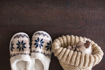 Wall Mural - Slippers and knitted hat on warm floor