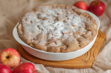 apple pie charlotte sprinkled with powdered sugar on a neutral background