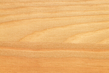 Poster - wooden wall with texture. background for design