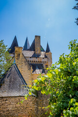 Canvas Print - Château de Clérans de Saint Léon sur Vézère