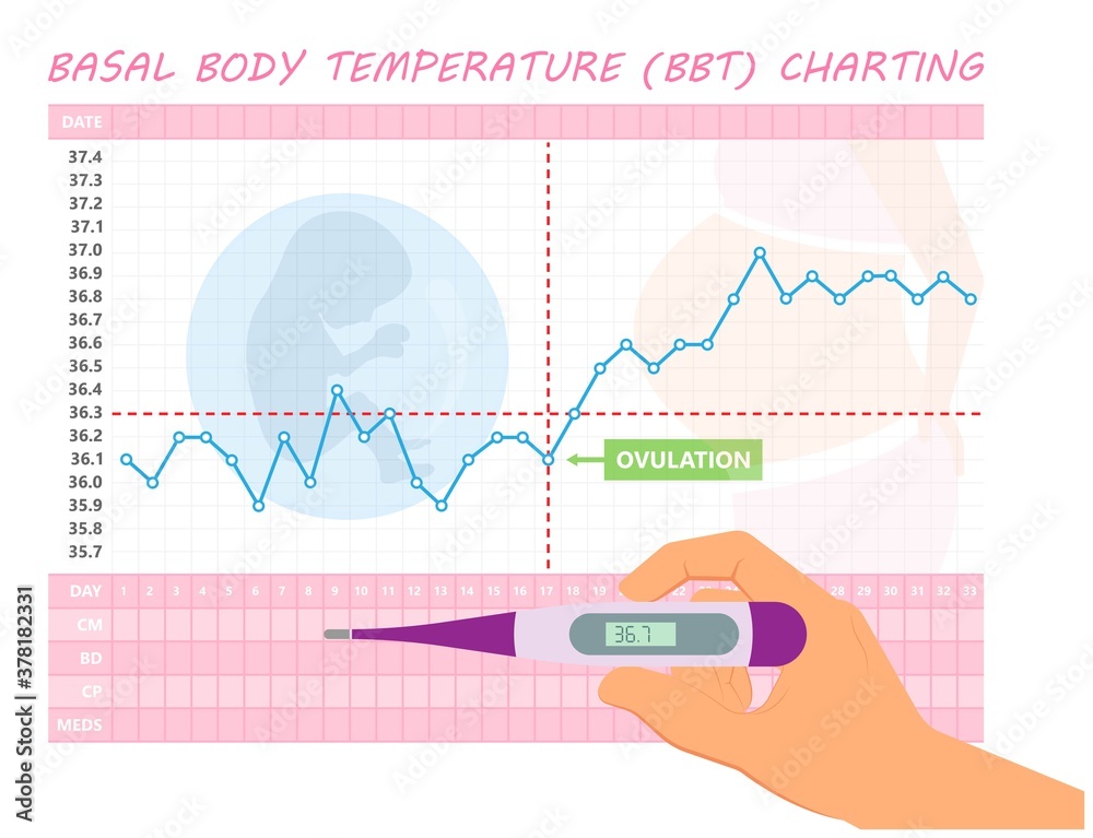 Bb&t Method Vector de Stock BBT chart basal body day get IUD sex care date plot ...