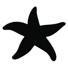 Vector Image Of A Starfish