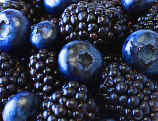 Blueberry and Blackberry background. Ripe and juicy fresh picked ripe berries backdrop, closeup.