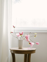 Tulip Magnolia Flowers In White Vase On Wooden Table By Window