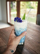 © ZHPH Production by Artem Zhushman/Stocksy - Ice butterfly pea latte drink