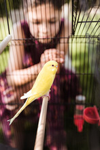 Girl With Her Yellow Parrot