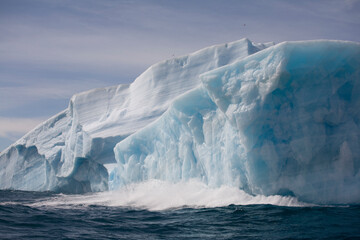 Wall Mural - iceberg, south georgia island, antarctica