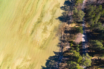 Wall Mural - Aerial view of spring landscape lake. Lake Naroch, Minsk region, Belarus