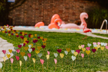 Beautifully Decorated Yard With Pool Balloons And Pink Flamingos. Garden Decoration For A Summer Party