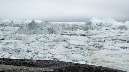 Wall Mural - iceberg in greenland - global warming and climate change concept.