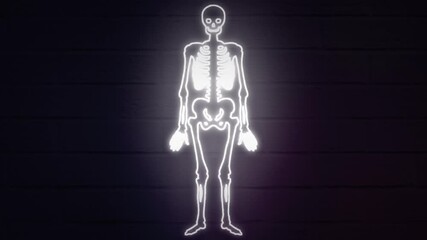 Canvas Print - realistic neon skeleton for decoration and covering on the wall background.