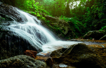 Wall Mural - beautiful waterfall in jungle. waterfall in tropical forest with green tree and sunlight. waterfall 