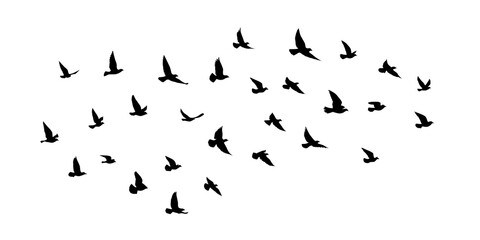flying birds silhouettes on white background. vector illustration. isolated bird flying. tattoo and 