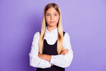 Sticker - Portrait of her she nice attractive pretty lovely content serious diligent long-haired girl folded arms isolated over bright vivid shine vibrant lilac violet purple color background