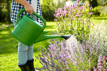 Gardening And People Concept - Young Woman With Watering Can Pouring Water To Flowers At Garden