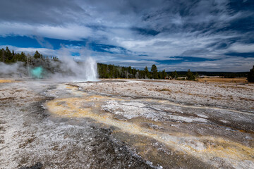 Wall Mural - yellowstone national park wyoming