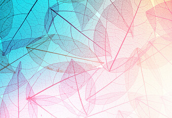 Aufkleber - Natural background with texture of transparent leaves with streaks of blue and pink colors. Soft pastel colors, macro.