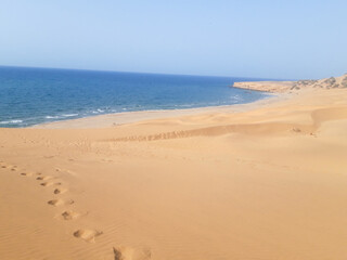 Panorama landscape of sand dunes system on beach