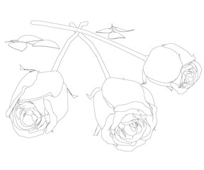 Poster - Contour of a bouquet of three roses from black lines isolated on a white background. Vector illustration