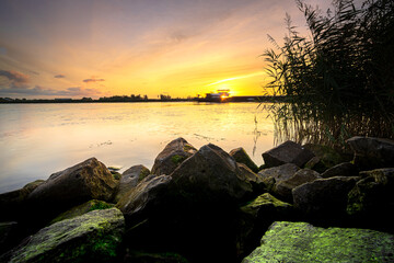 Wall Mural - View of a dutch river from the waterfront during sunrise