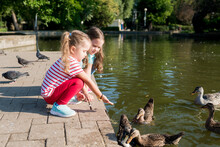 Cute Little Girls Feeding Group Of Pigeons With Seeds From Her Hands On The Footpath In Park On Sunny Day. Children Interact With Birds. Kids Taking Care Of Animals Outdoor.