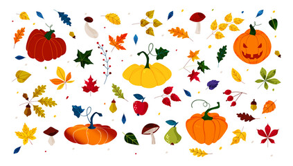 Wall Mural - Hello autumn. Pumpkin of various shapes. Fall leaves and berries. Thanksgiving and Halloween Elements. Hand drawn vector. Illustrations for poster, background or card. Stamp texture.