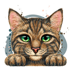 Wall Mural - kitten. wall sticker. color, graphic, artistic drawing of a cute striped kitten is pretty squinting.