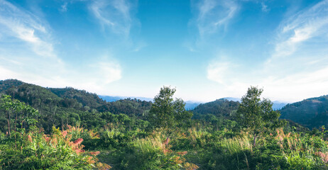 Wall Mural - world environment day concept: green mountains and beautiful blue sky clouds