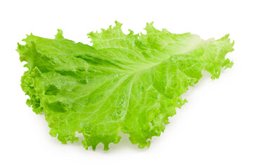 Wall Mural - one lettuce leaf isolated on a white background