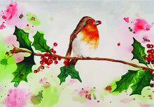 Christmas Robin On A Branch Vector Illustration